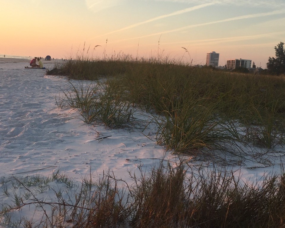 Close to the Beach