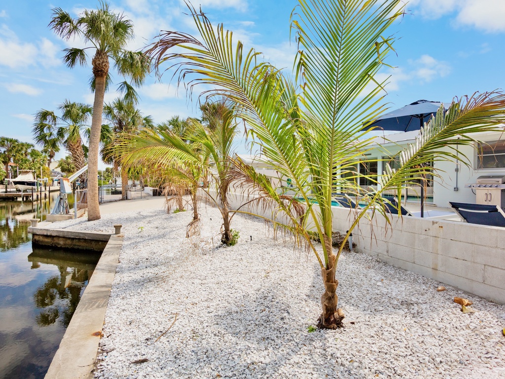 Lush tropical plants throughout the area