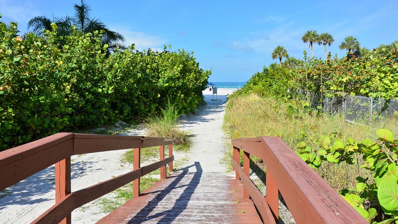 Beach Path