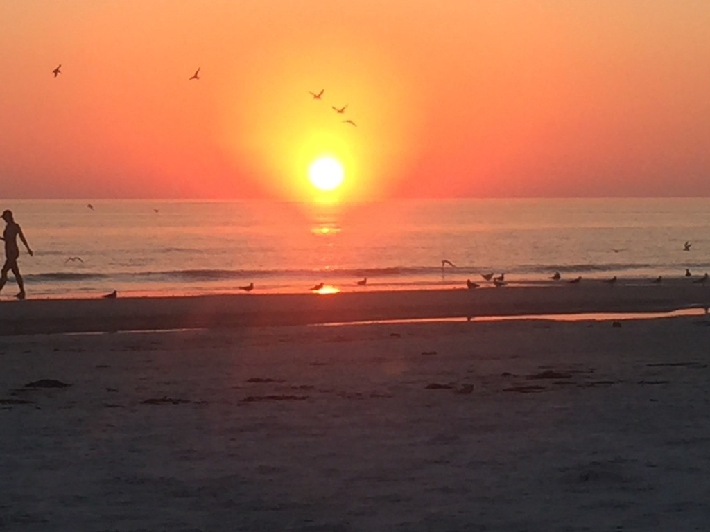 Across the street from Siesta Key Beach