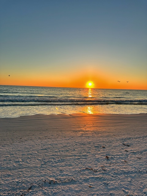 COVE II #911 PHOTOS (41)