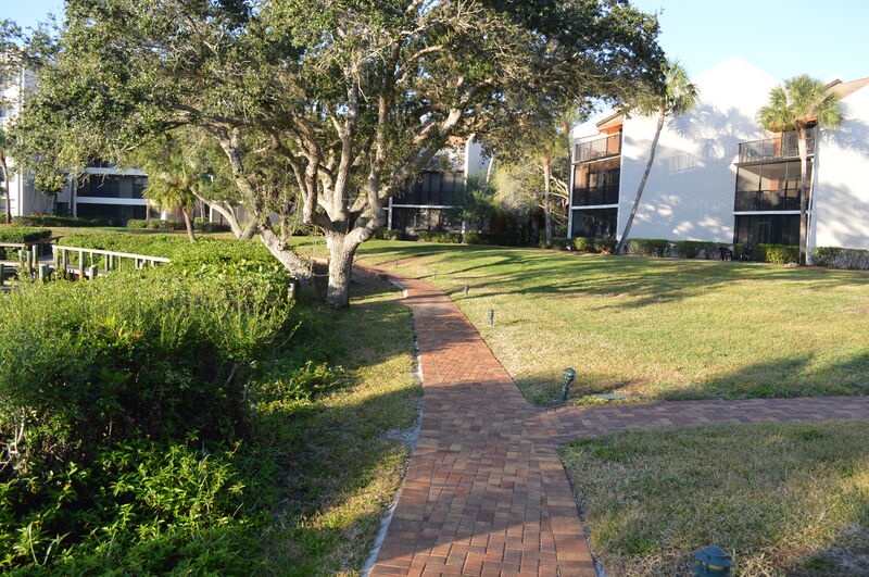image_156270580