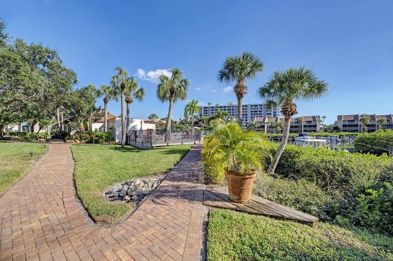 image_155520082