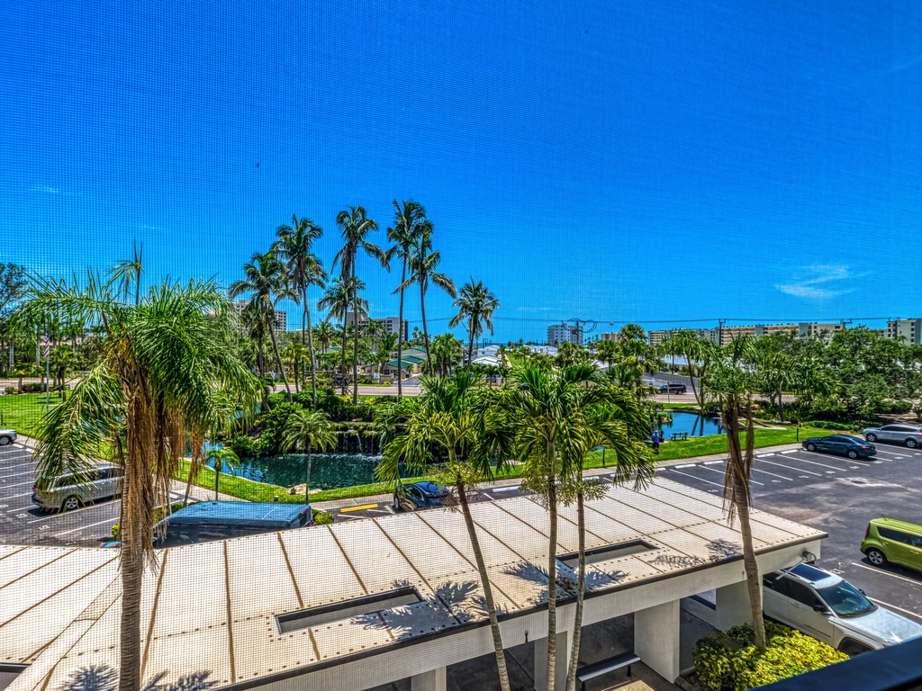 Outdoor, Tropical View