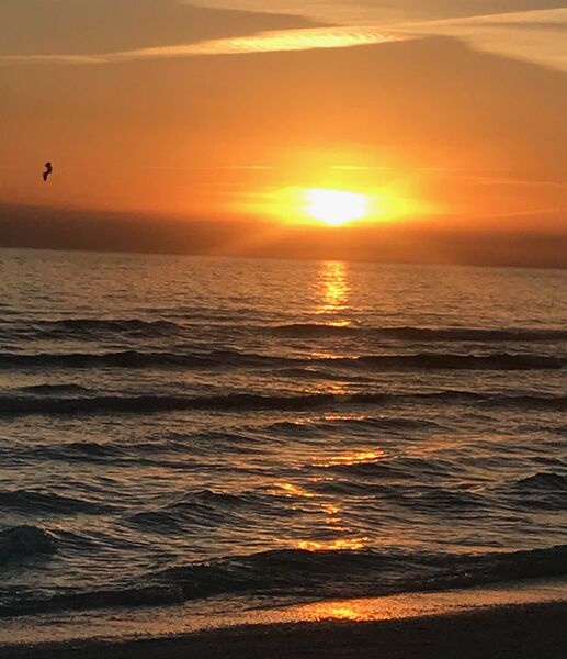 Siesta Key Beach