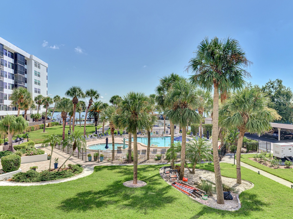 Outdoor, Tropical Pool Views