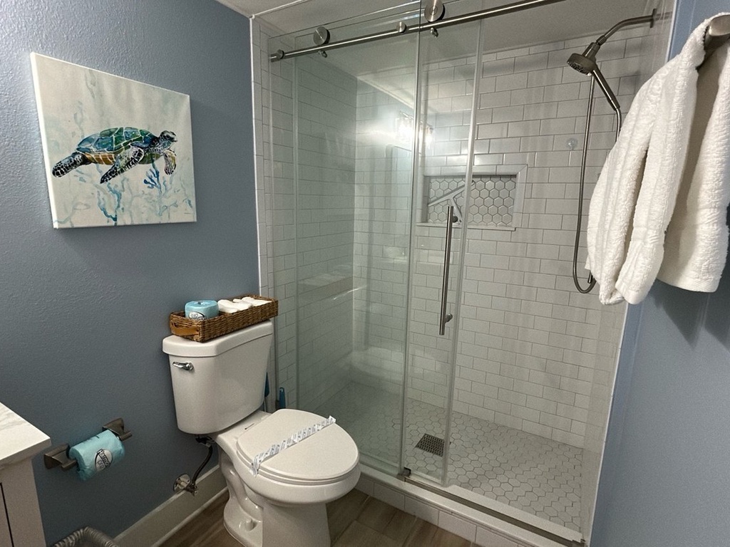 Hall Bathroom, Full bath with walk-in shower