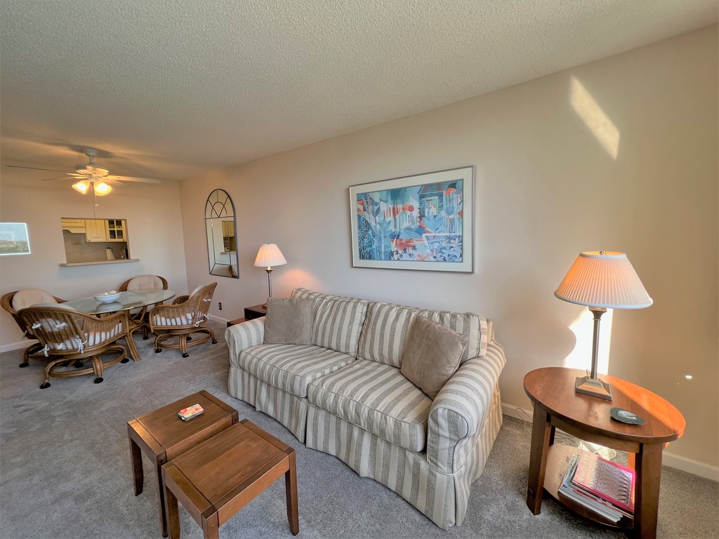 Living Room, Queen sleeper sofa
