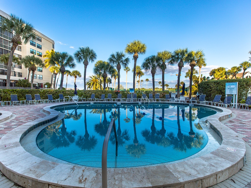 Property pool area surrounded by palm trees and lounge chairs under Florida's clear blue sky.