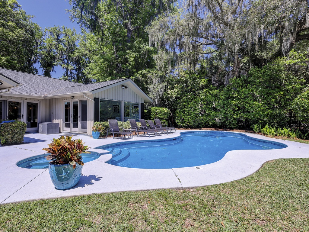 South Live Oak 25 Photo