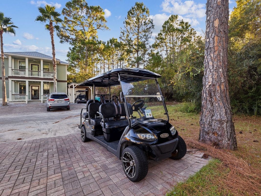 Array_100SnapperSt-29