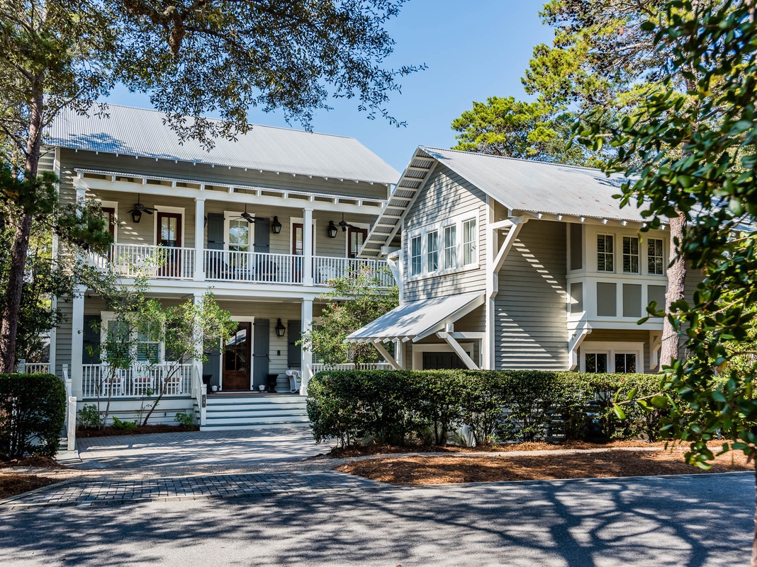 Watercolor 79 Dandelion