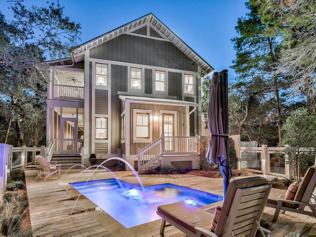 Watercolor, 167 Dandelion