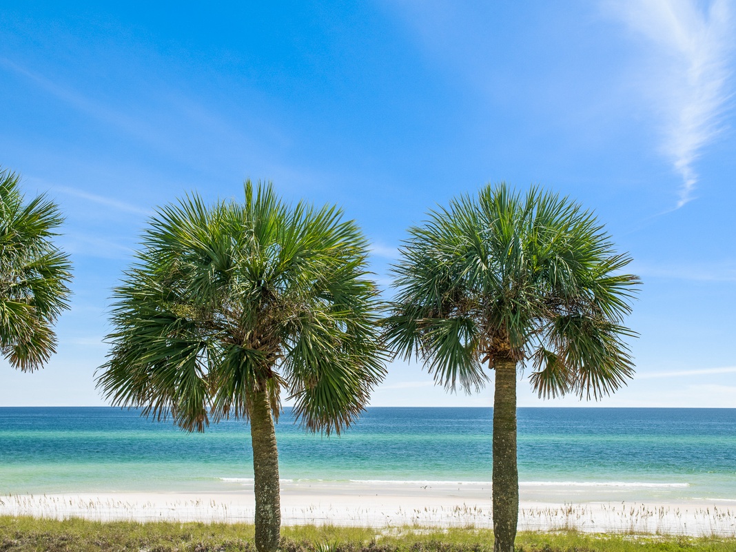 Pristine beachfront with swaying palms and crystal-clear waters stretching to the horizon under brilliant blue skies.