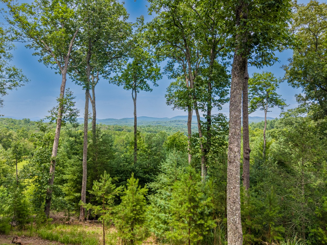 Drink Up The View - Vast Mountain Views