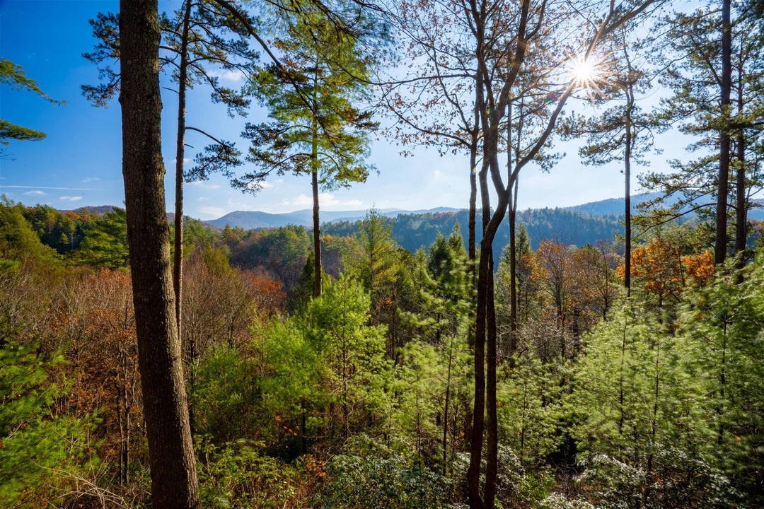 Hog Heaven - View from Back Deck