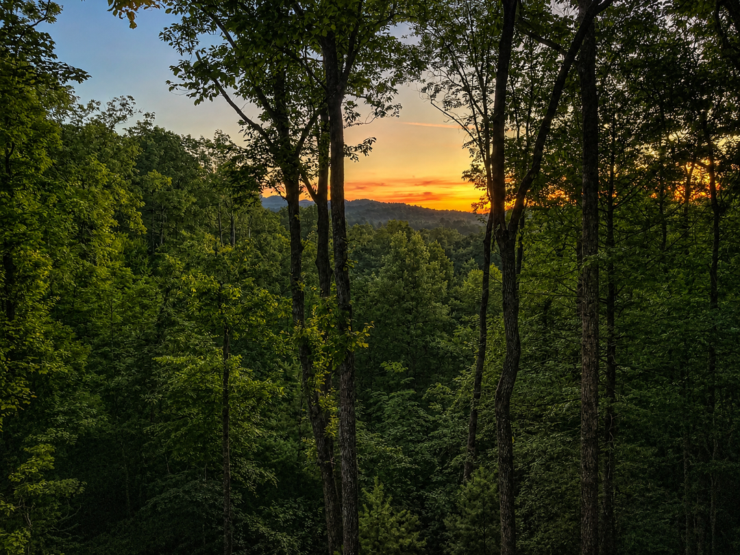 Deer Haven - Sunrise View