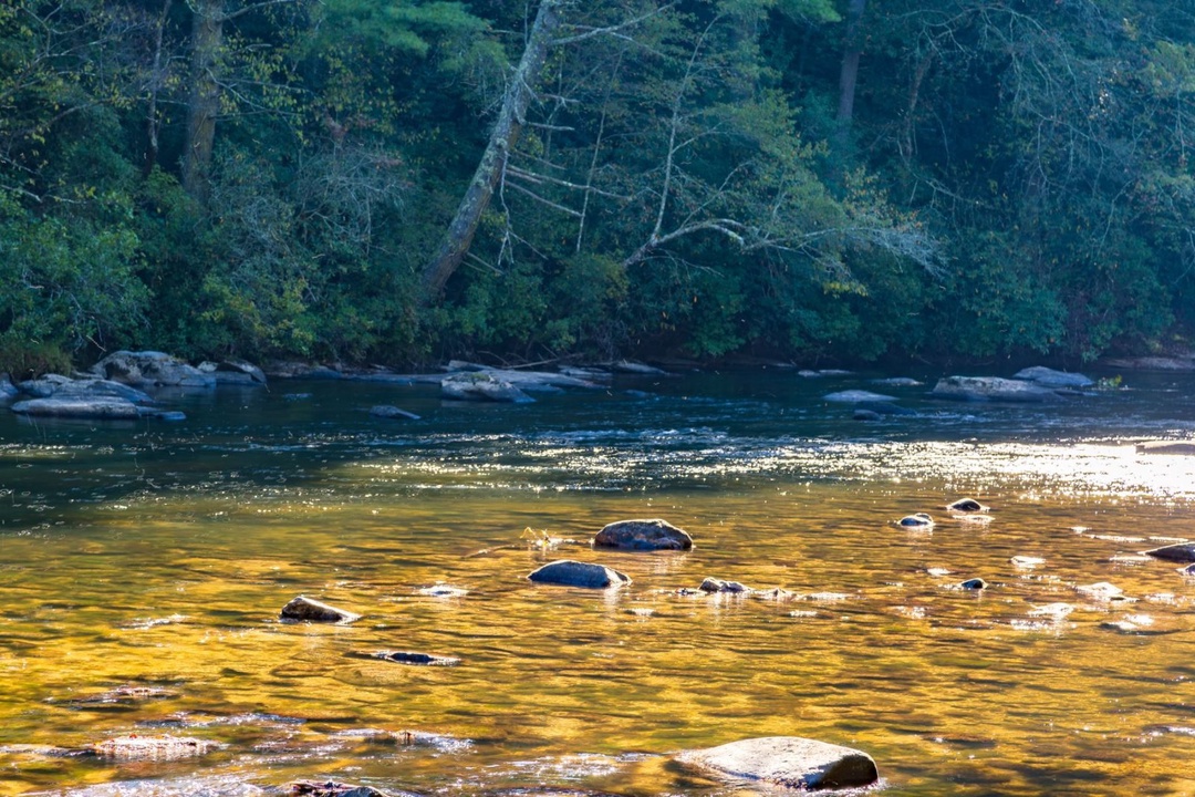 Rivers D Lite - Crystal Clear Toccoa River