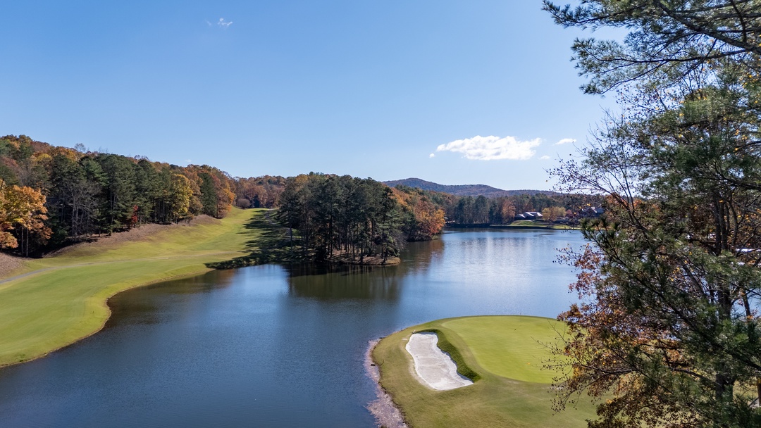 Chickadee's Lake Lookout