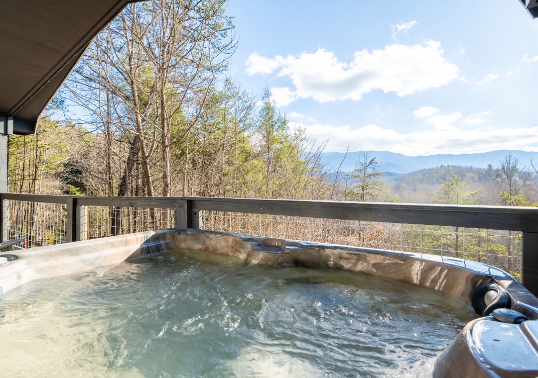 Country Bear Hideaway