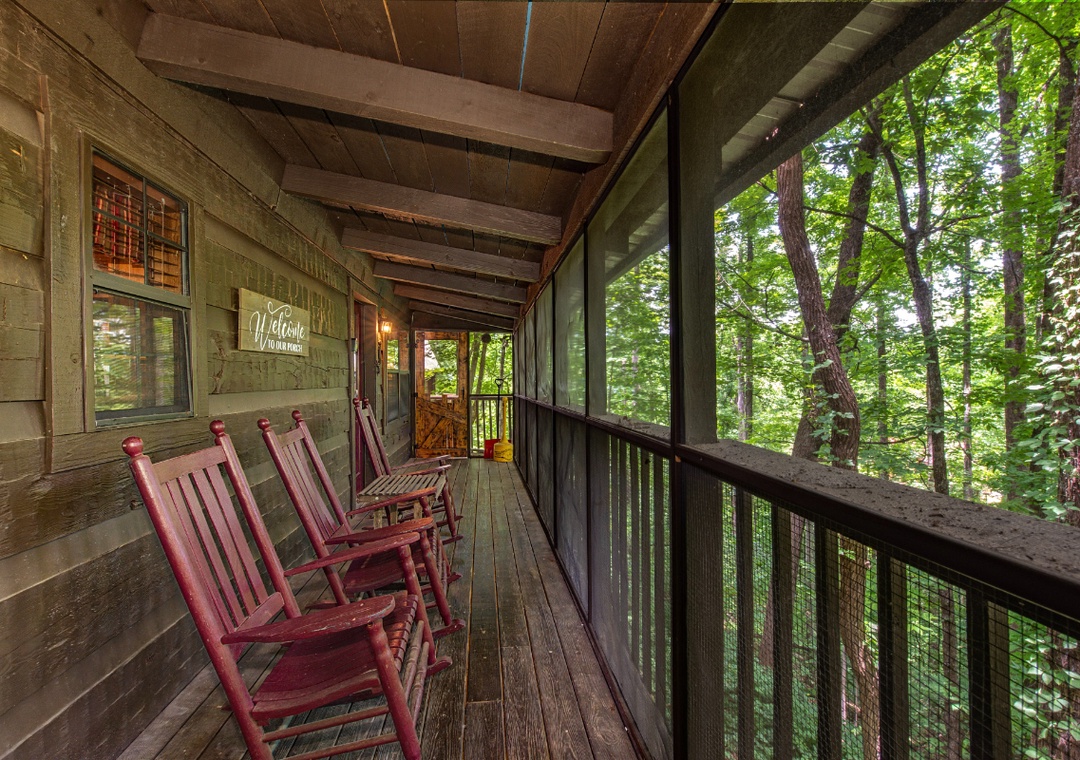 Step onto your private covered porch and sink into a rocking chair, where towering trees and forest tranquility surround you—perfect for morning coffee or unwinding after exploring.