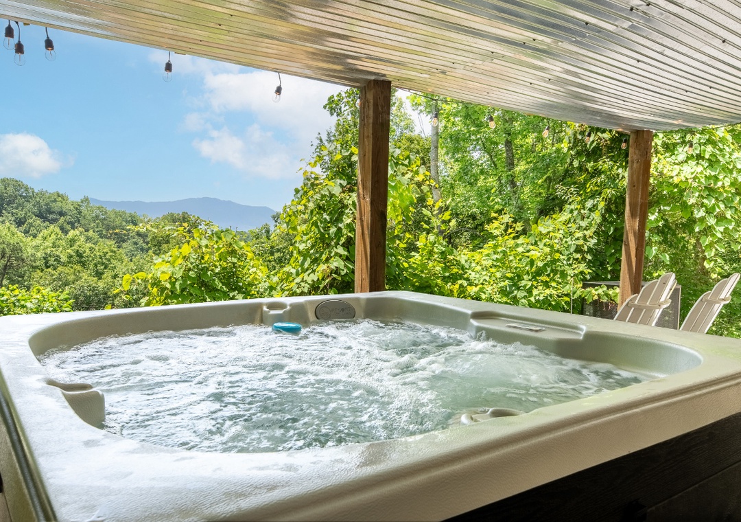 Laurel Mountain Lodge