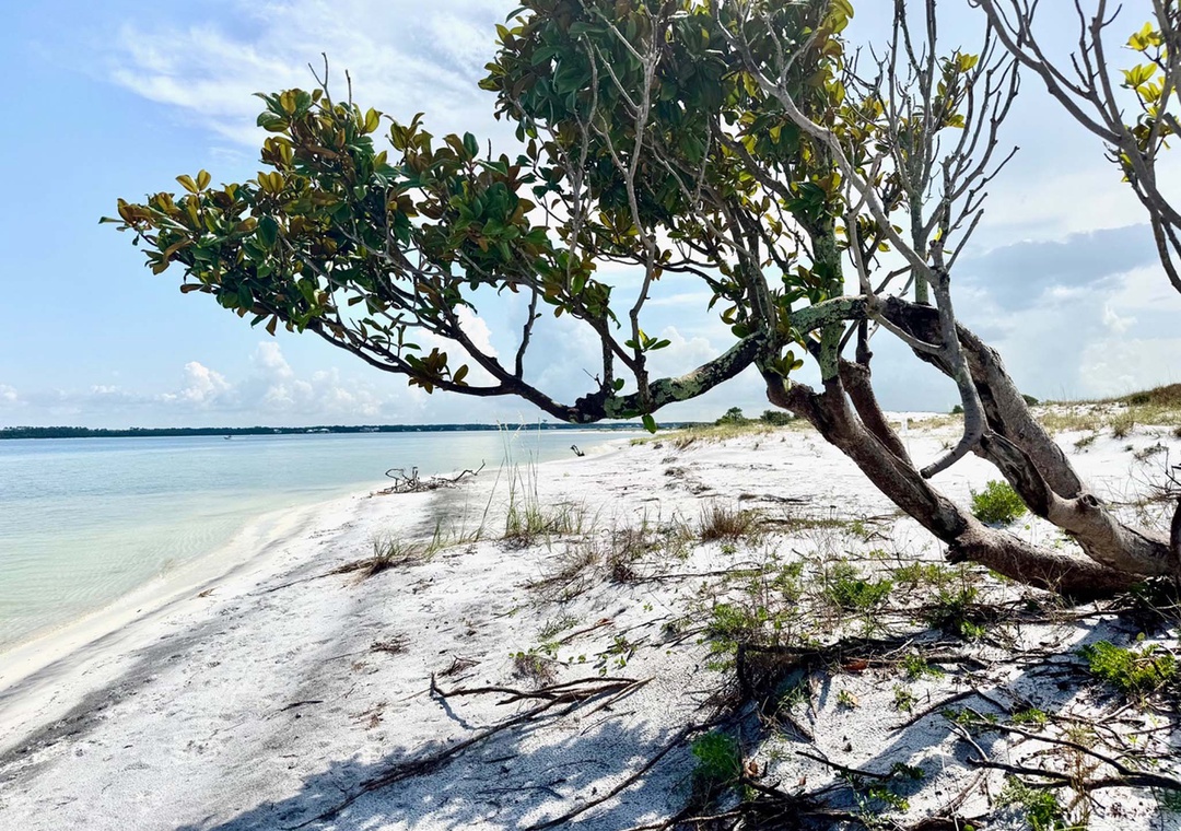 White Sands Beach Retreat