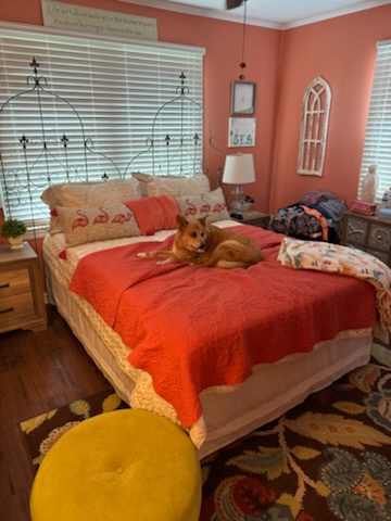 Cozy coral walls, sunlit windows, and a plush bed await you—your peaceful retreat with a friendly pup to greet you.