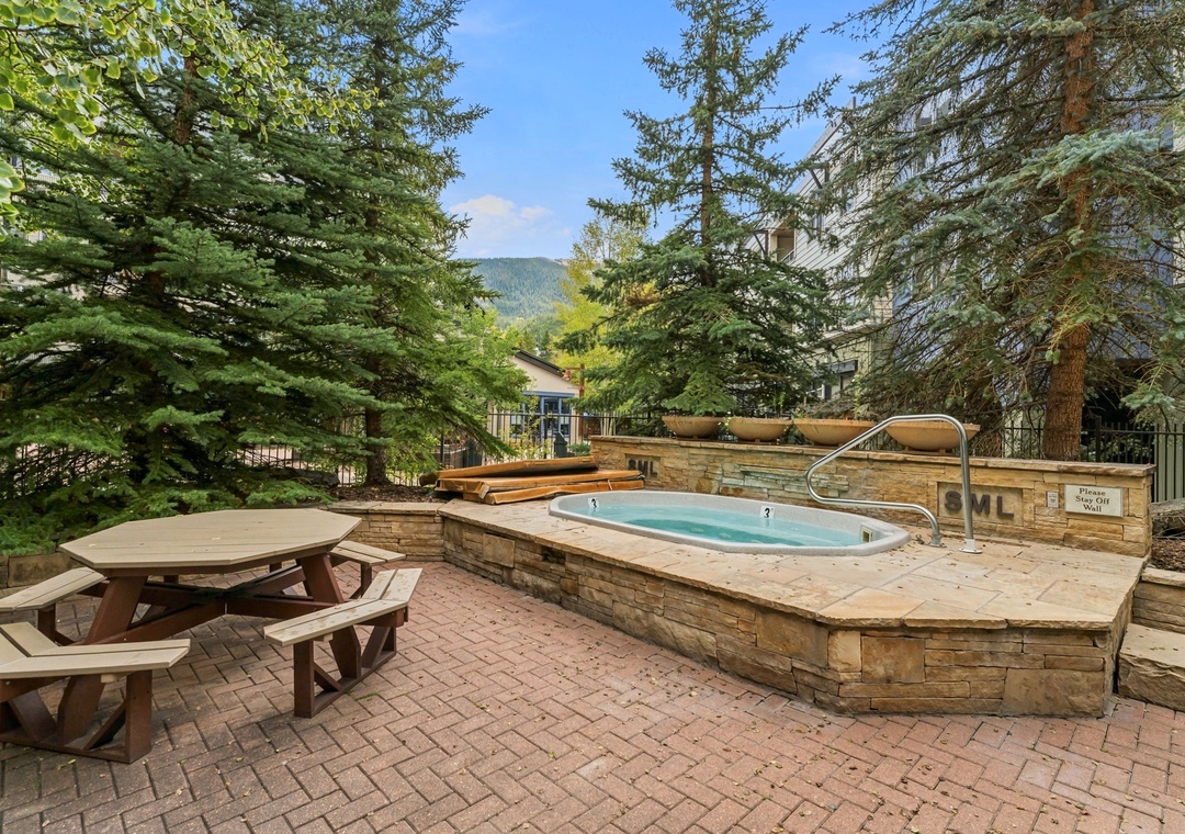 The property offers an inviting outdoor hot tub set among towering evergreens, with mountain views framing your soak.