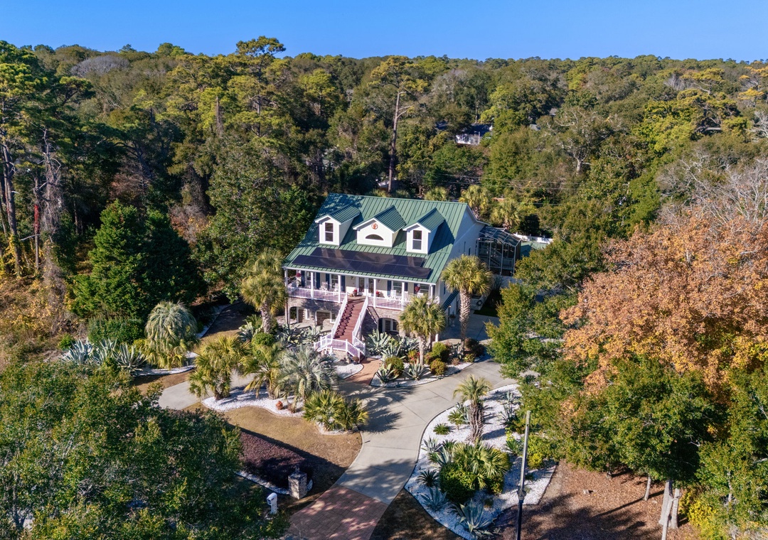 Regal Palms