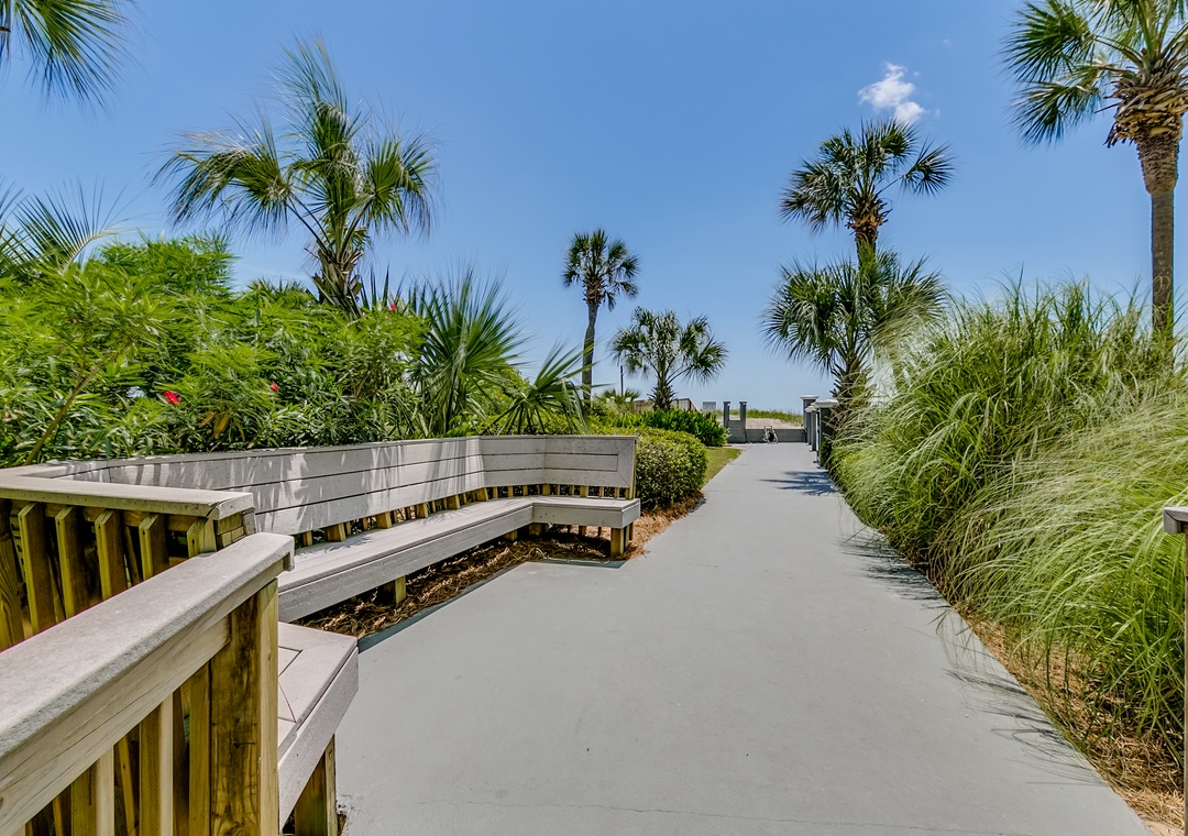 Carolina Dunes path to beach