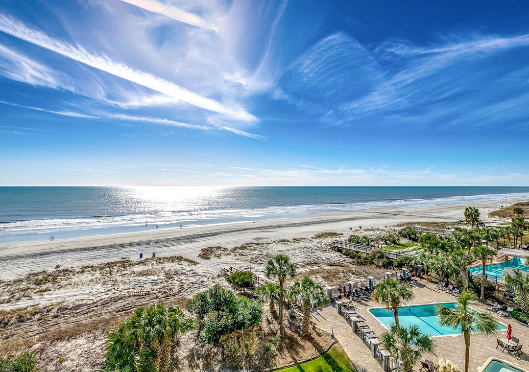 Carolina Dunes 602 views