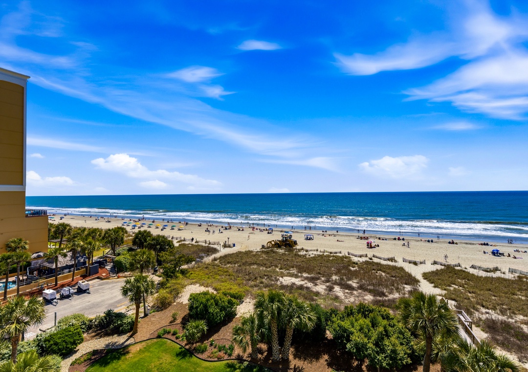 Carolina Dunes View