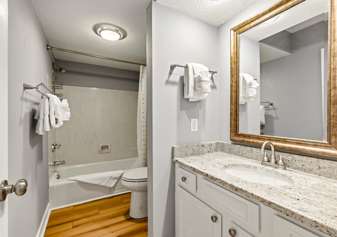 Guest Bathroom
