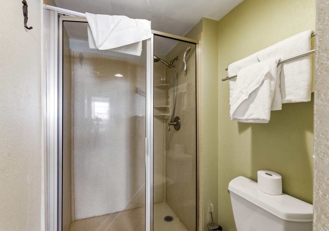Primary bathroom with walk-in shower