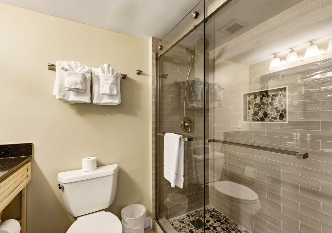 Guest bathroom