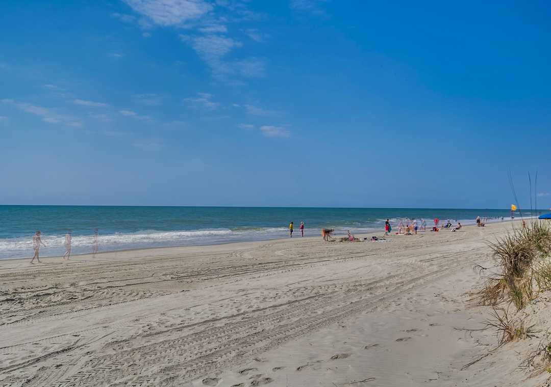 Gorgeous beach just across the street