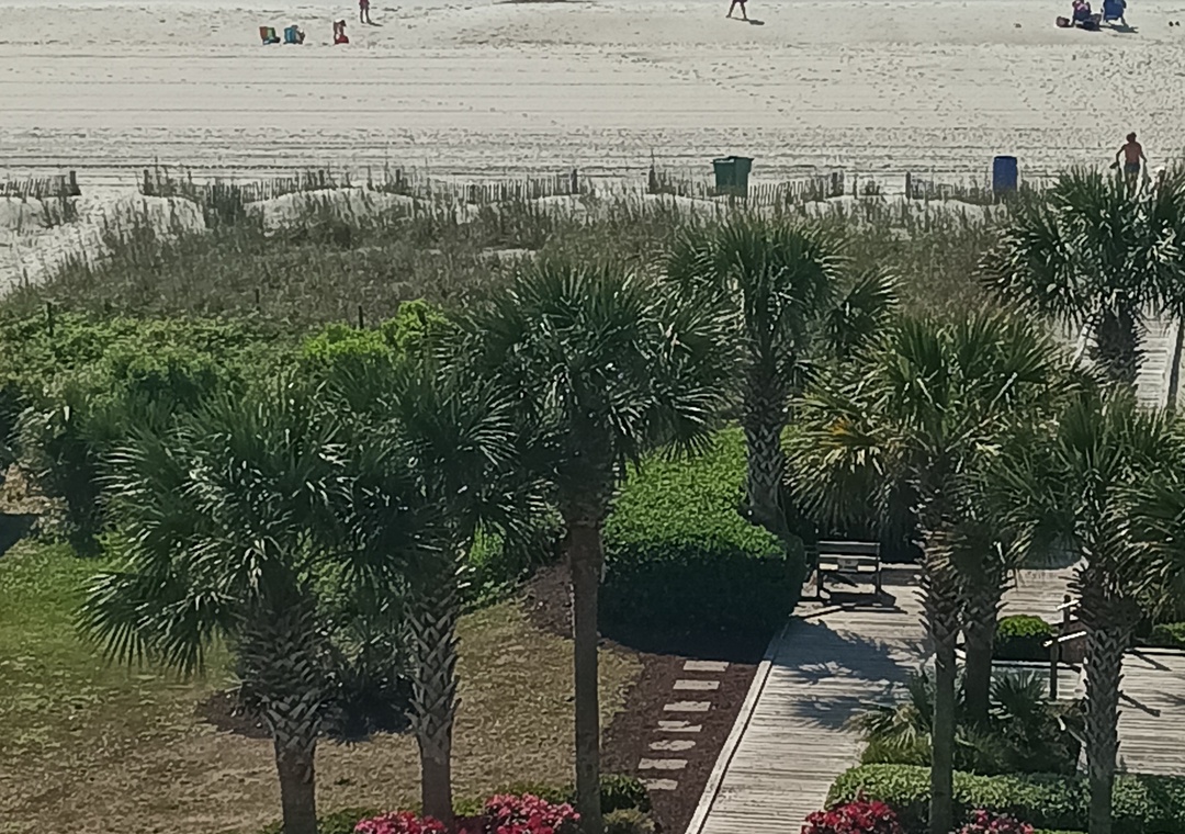 Forest Dunes 508 | Photo 27