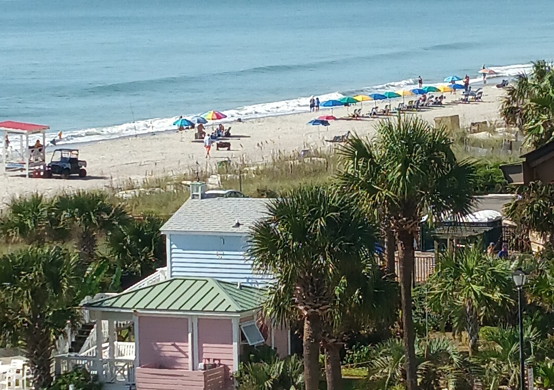 Forest Dunes 508 | Photo 28