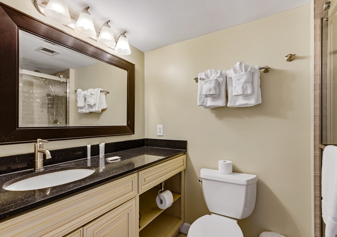 Guest bathroom