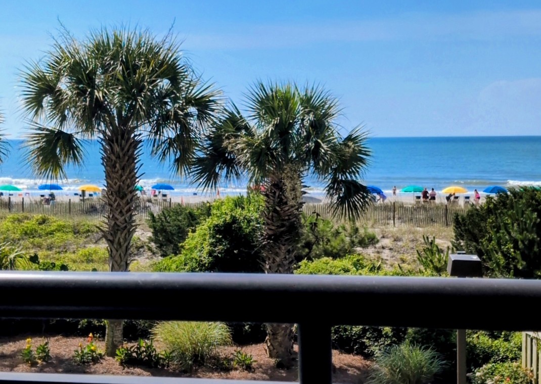 South Wind 208