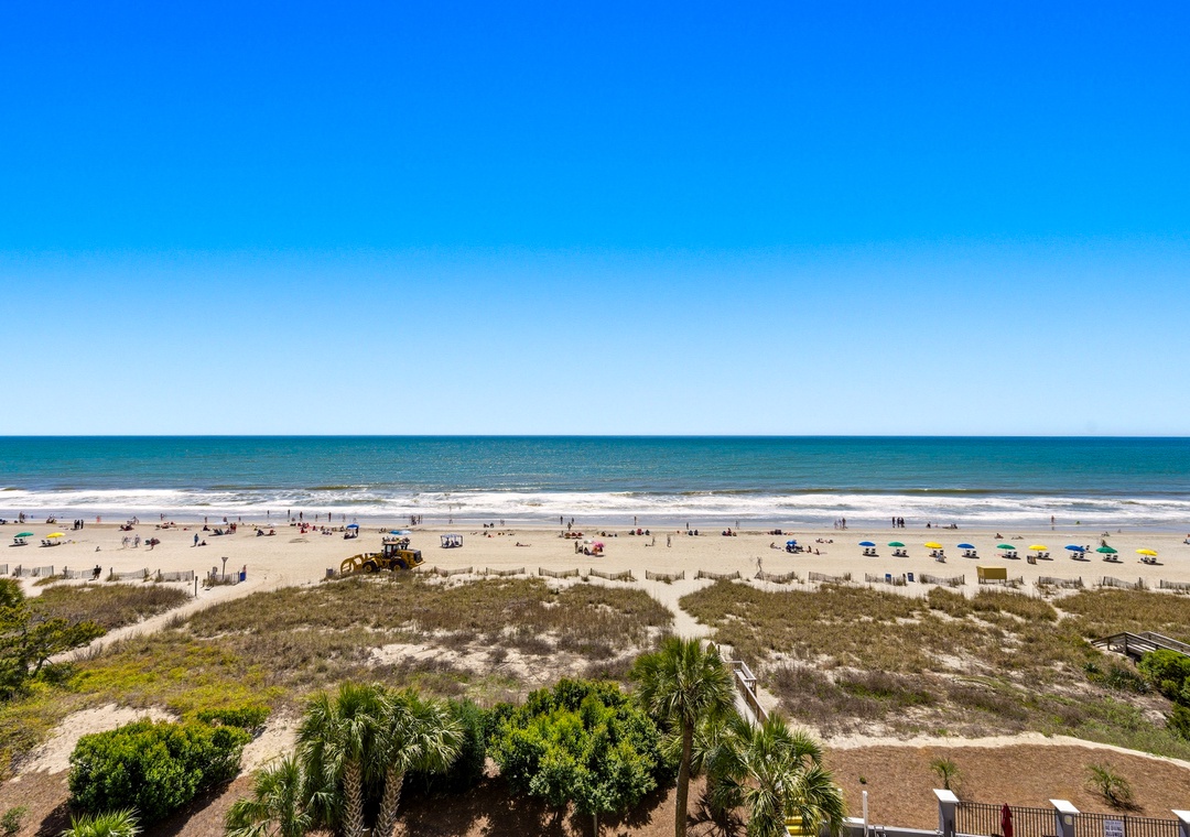 Carolina Dunes beach view