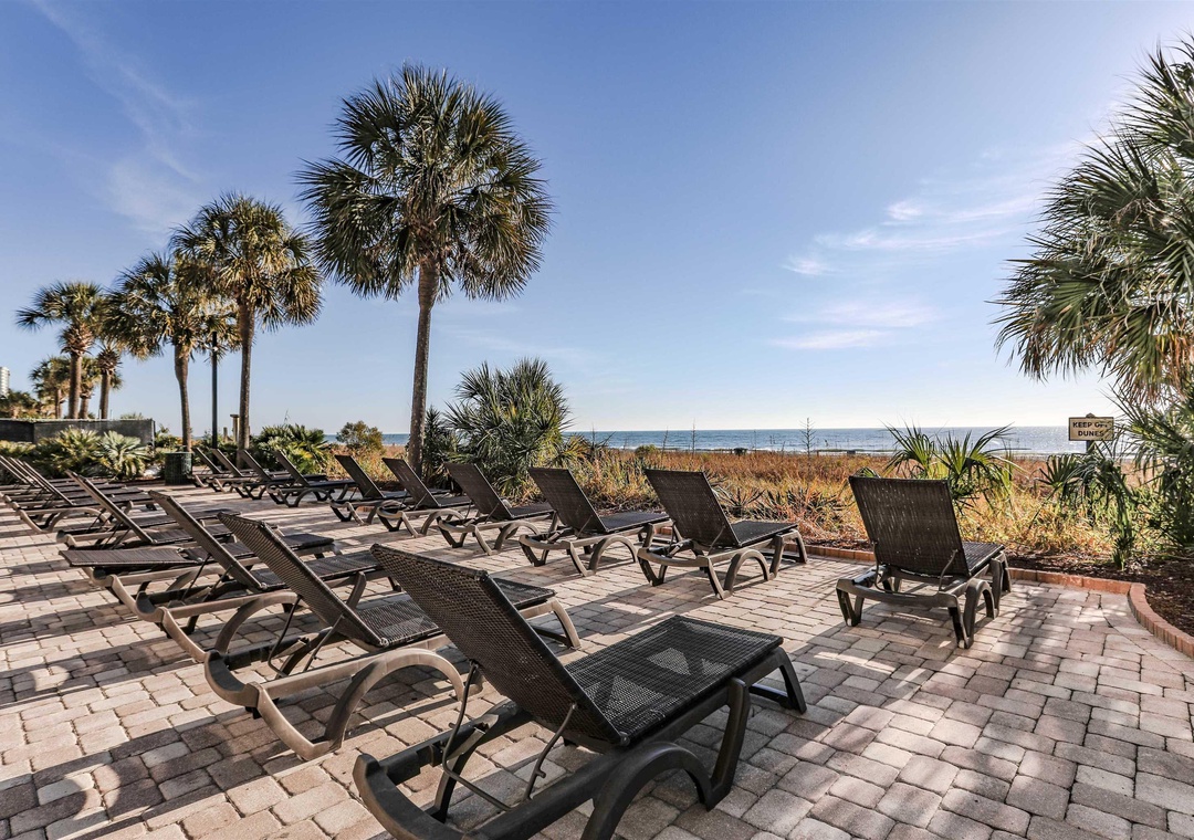 Loungers overlooking the beach