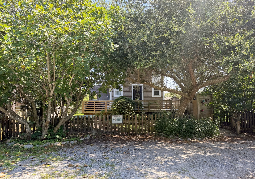 CR60: Treehouse Charlie