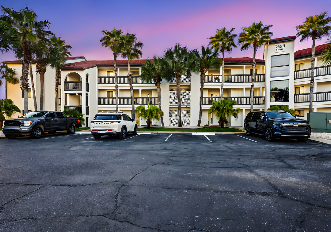 Beautiful Sunset Harbor Palms at dusk