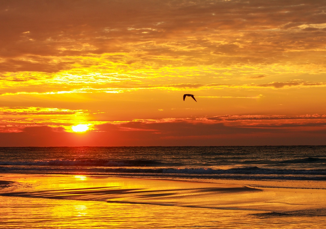 Stunning Pensacola Beach Sunset