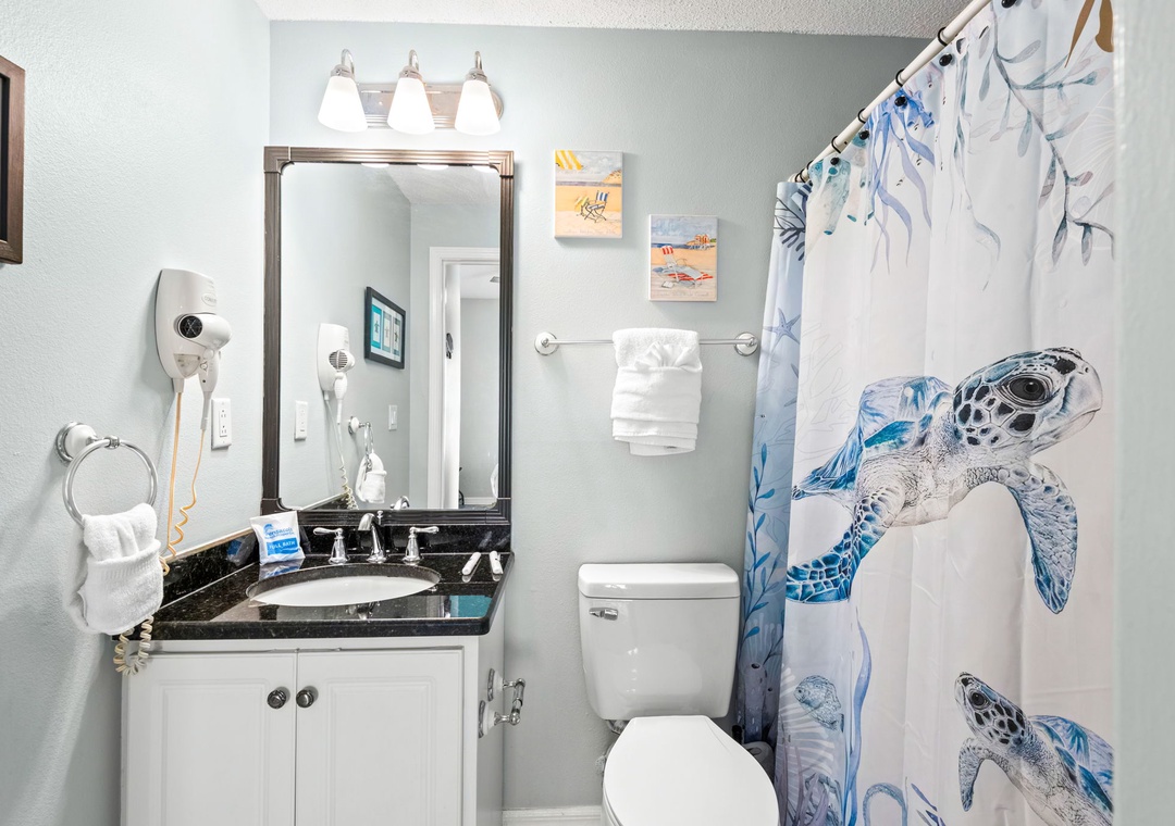 Guest bathroom 1