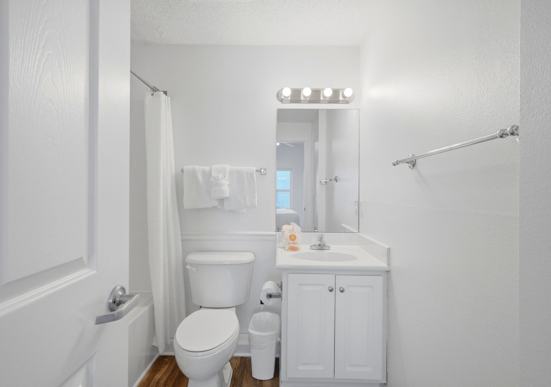 Guest bathroom 1