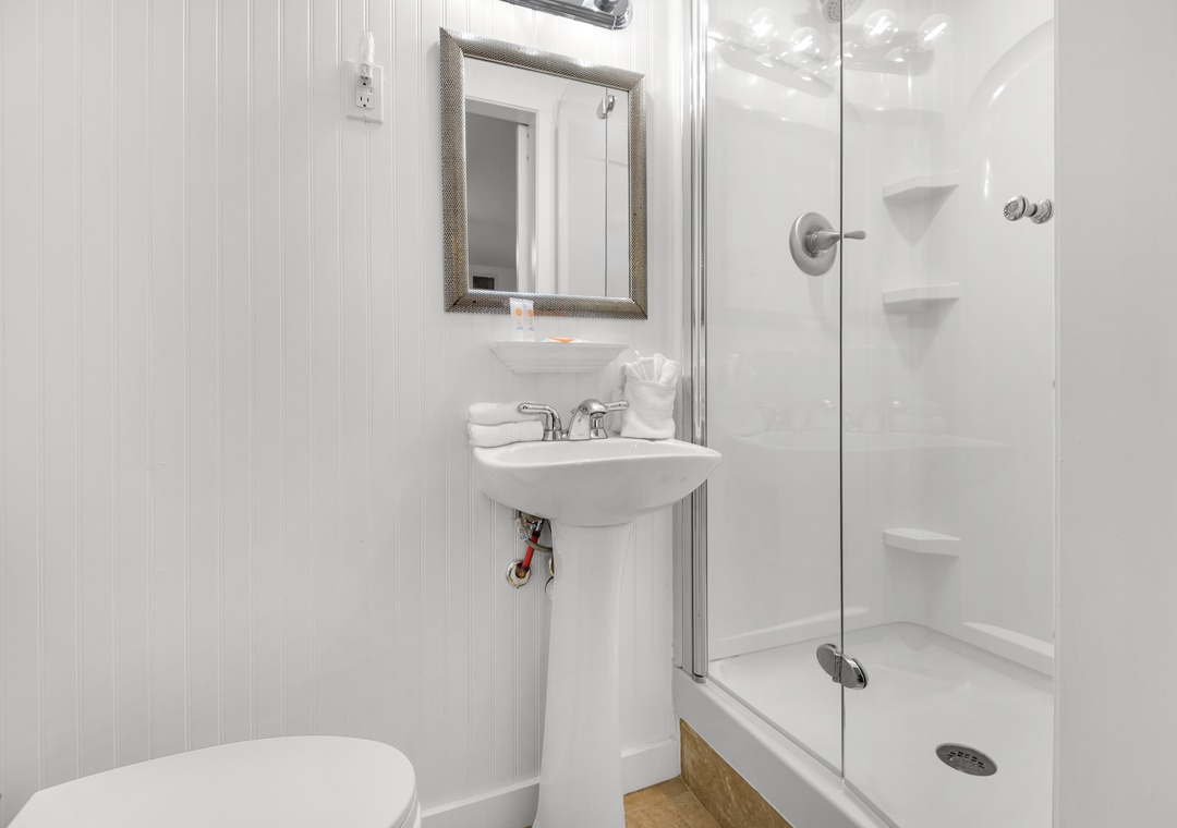 Guest bathroom 2 with walk-in shower