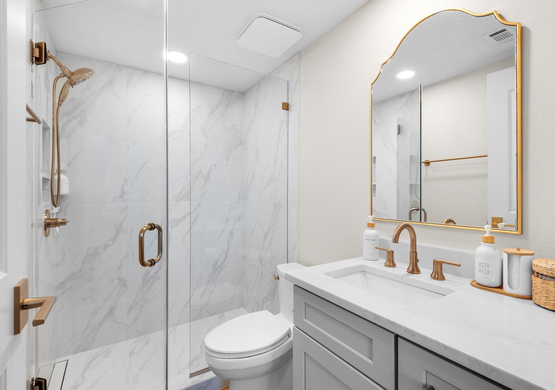 Guest bathroom with walk-in shower